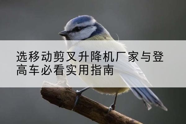 汾西电动升降机厂家-选移动剪叉升降机厂家与登高车必看实用指南