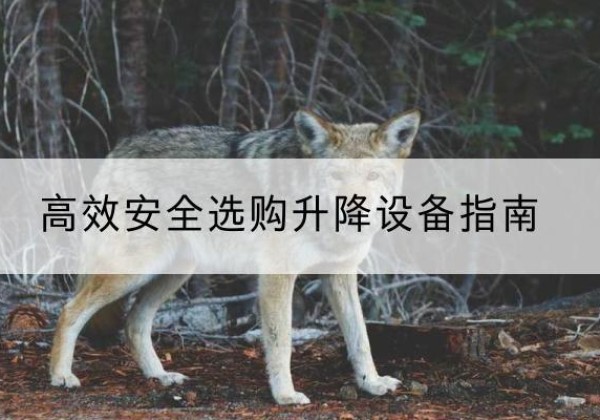 汾西升降货梯厂家推荐-*安全选购升降设备指南